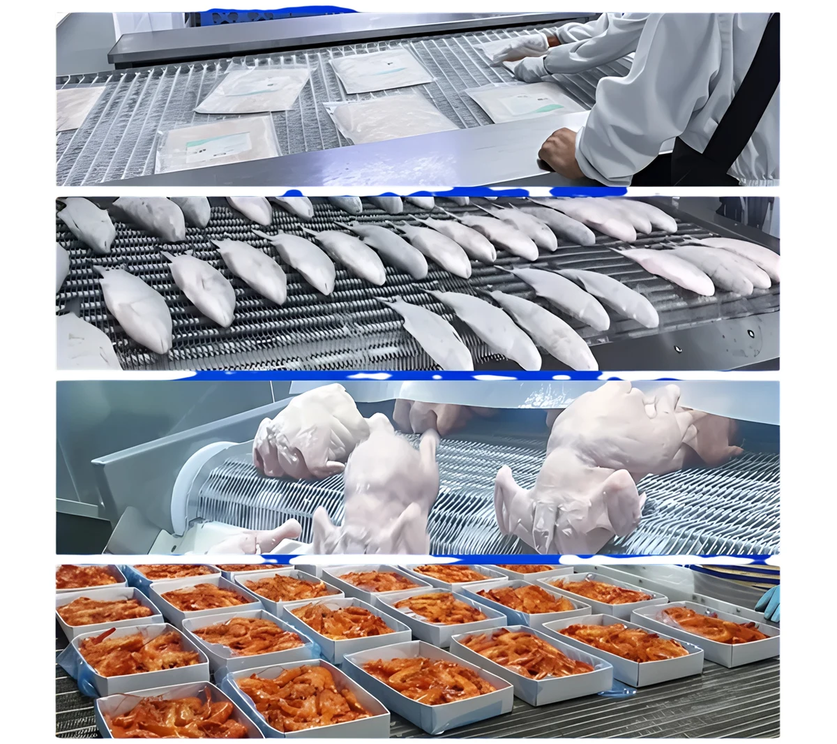 Alimentos em linha de congelamento